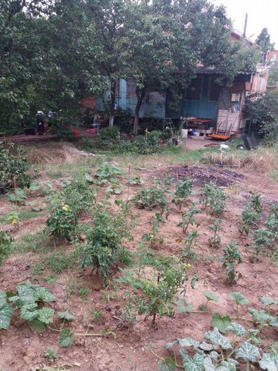 Участок 5 сот. (ИЖС)