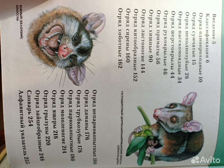 Пираты Карибского моря, Детские энциклопедии