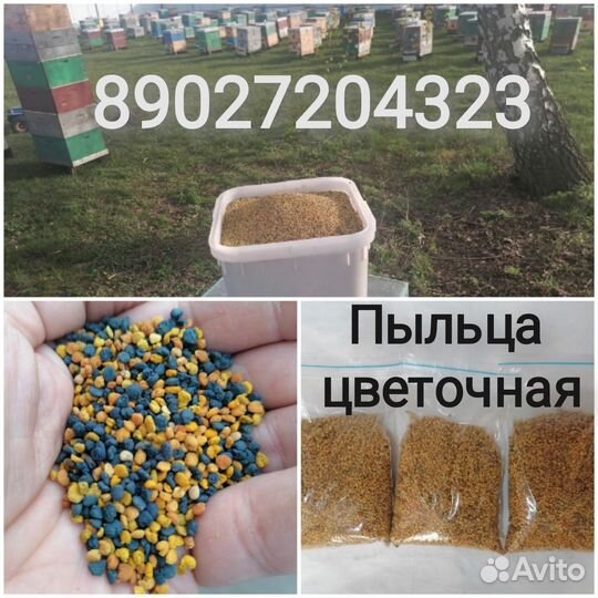 Пыльца пчелиная 2024г (лес)