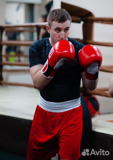 Тренер по боксу