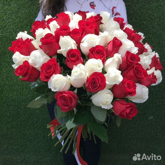 55 красно-белых роз 50 см (Эквадор)