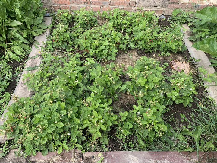 Дача 12 м² на участке 8 сот.