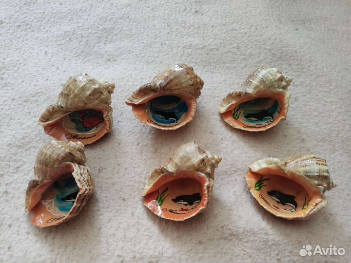 Настоящие ракушки и сувенирные раковины