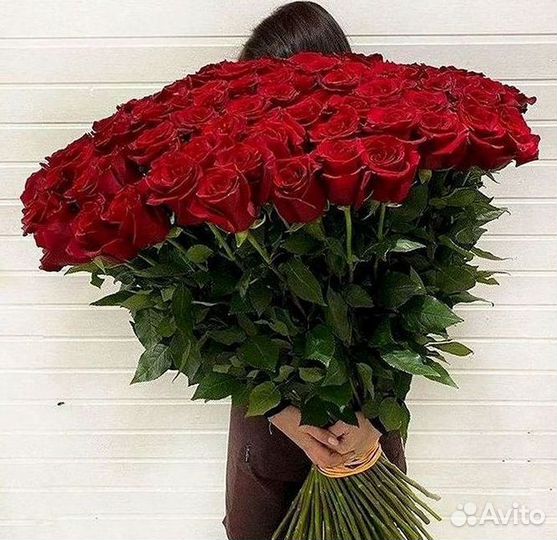 Высокие розы Гигантские розы с доставкой