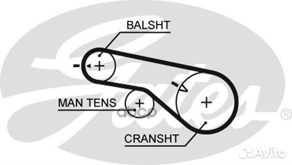 Комплект ремня грм KIA/hyundai 2.0 98- K025556XS