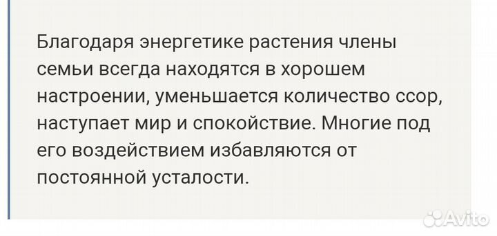 Молочай гребенчатый