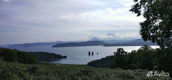 Развлечения