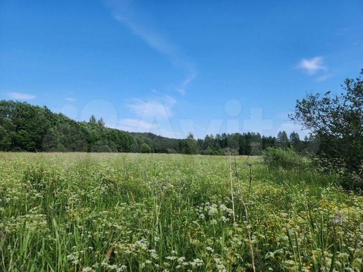 Участок 10 сот. (СНТ, ДНП)