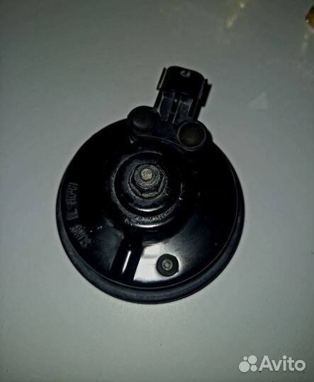 Звуковой сигнал