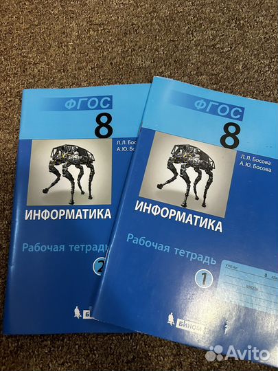 Рабочие тетради по информатике