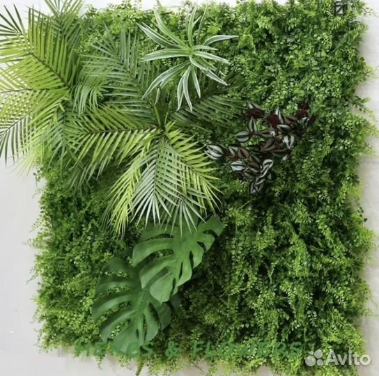 Фито панно, озеленение стен иск растениями и мхом