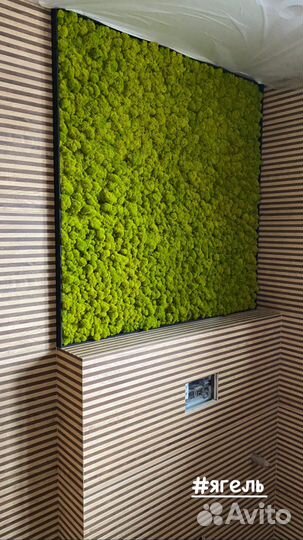 Вертикальное озеленение