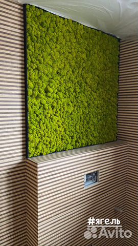 Вертикальное озеленение