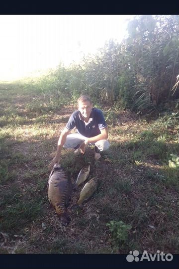 Рыбалка и отдых