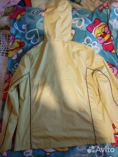 Ветровка женская