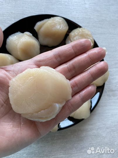 Филе морского гребешка / морские гребешки