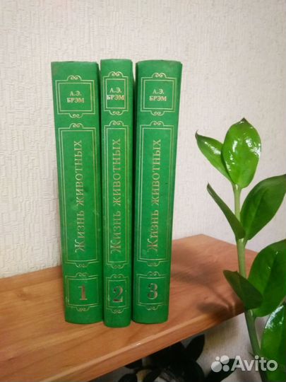 Книги А. Э. Брэма 