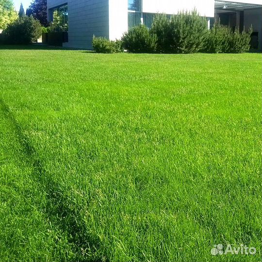 Грунт полевой