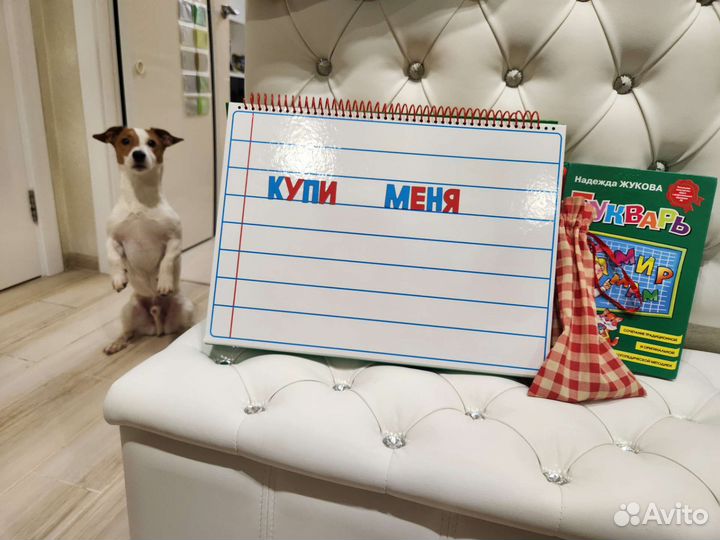 Азбука магнитная+букварь Жукова