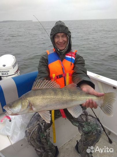 Рыбалка с гидом на катере в Новосибирске