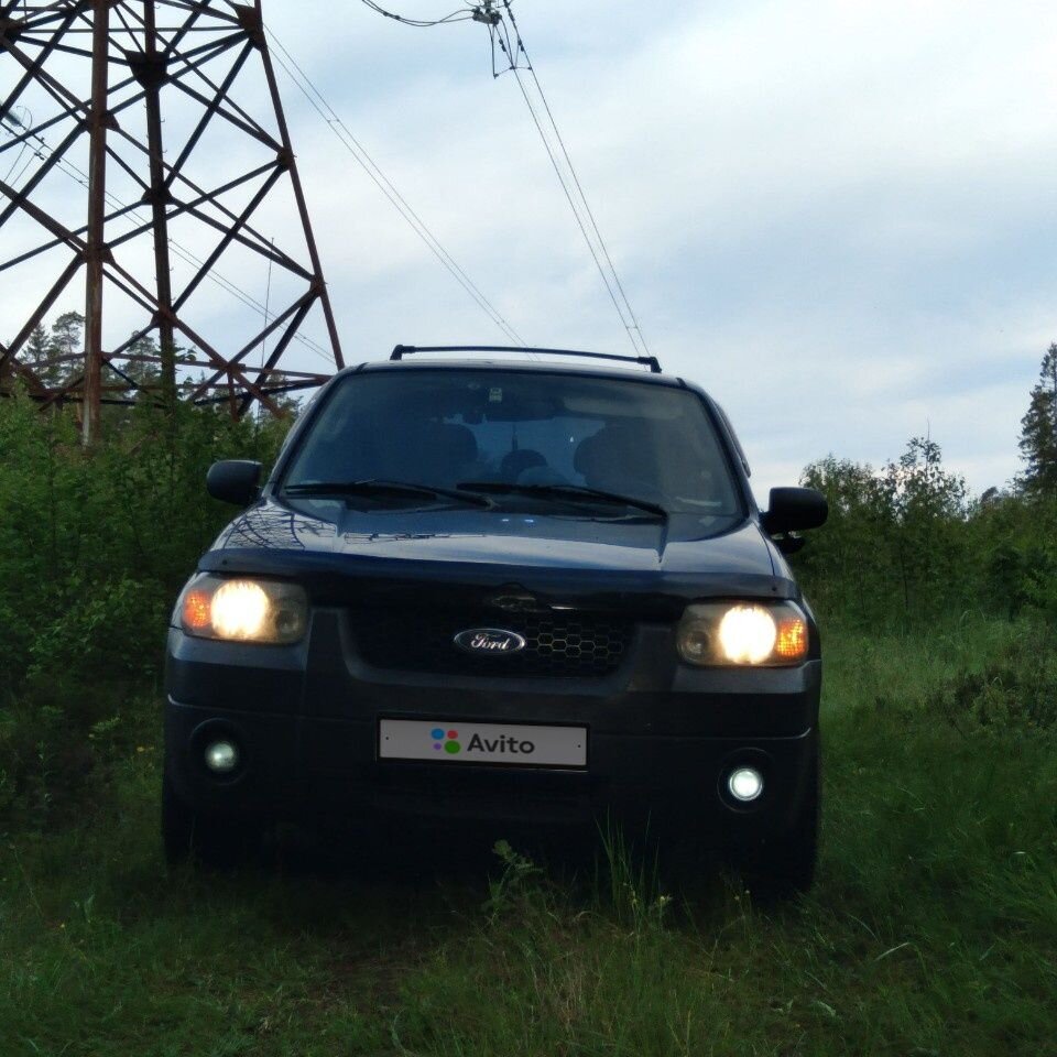 Ford Escape: фото владельца