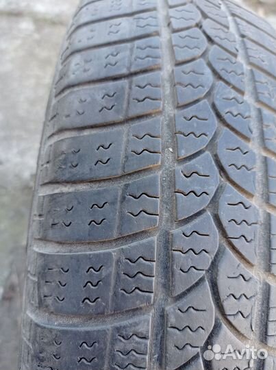 Tigar Winter 1 155/70 R13