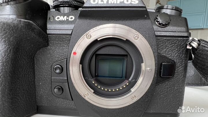 Olympus om d e m1 mark ii