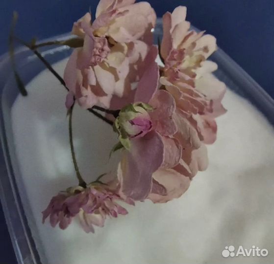 Силикагель для бережной сушки цветов