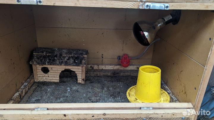 Брудер для цыплят - клетка для животных