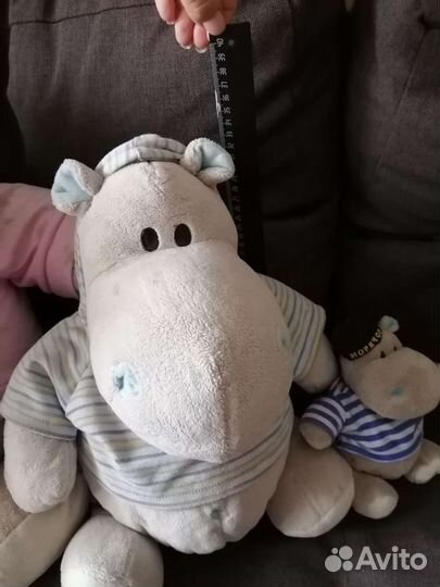 Бегемоты Orange