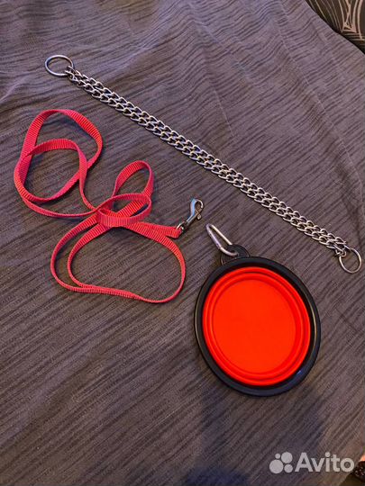 Одежда для собак, амуниция