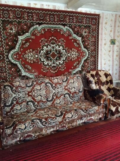 Дом 53,3 м² на участке 12 сот.