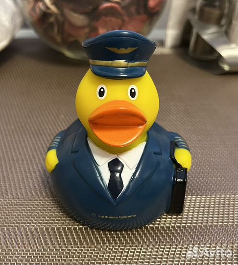 Резиновая уточка пилот. Новая
