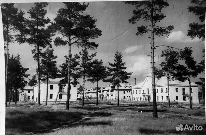 Советский Дмитров 905 фото