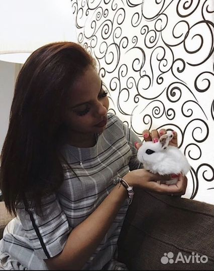 Супер мини кролики