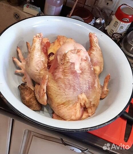 Мясо курицы, индоутки, индюка. В тушках или живьём