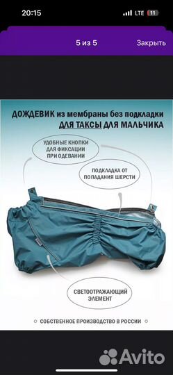 Дождевик для таксы мальчика