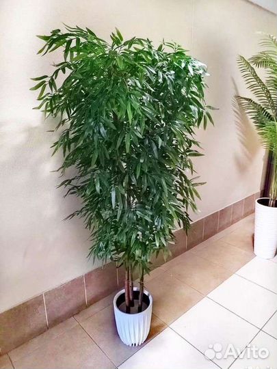 Бамбук искусственный, дерево искусственное