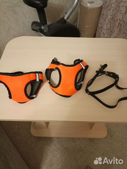 Шлейка для маленькой собаки