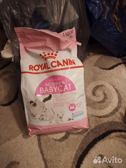 Корм для котят до 4 месяцев