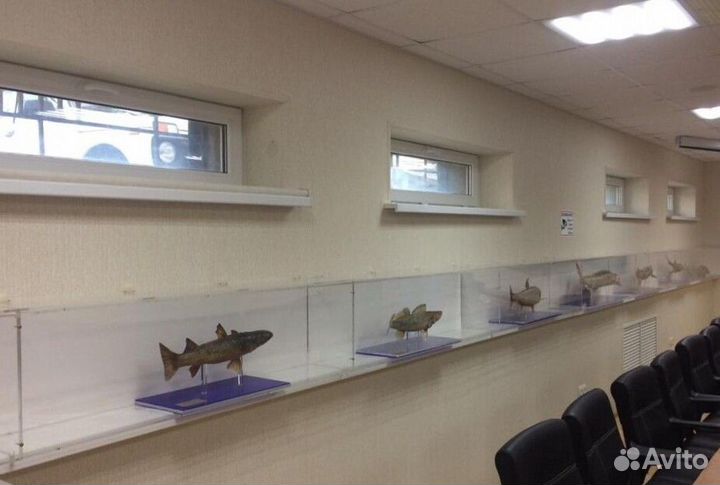 Рулонные кассетные шторы блекаут U6834-Z66869