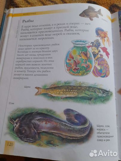 Моя первая энциклопедия