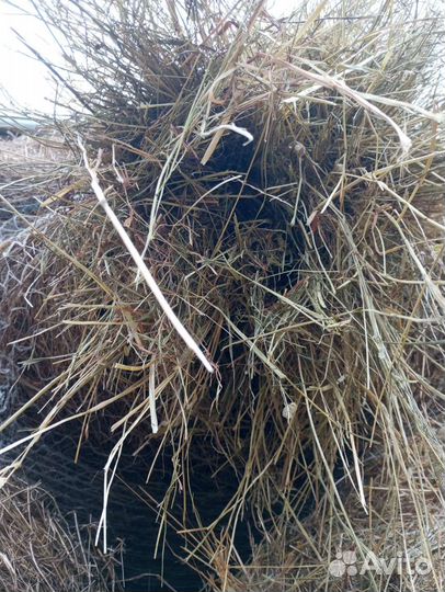 Сено в рулонах 2023 с доставкой