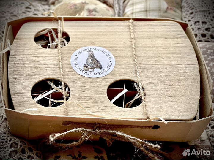 Домашнее суточное яйцо перепела