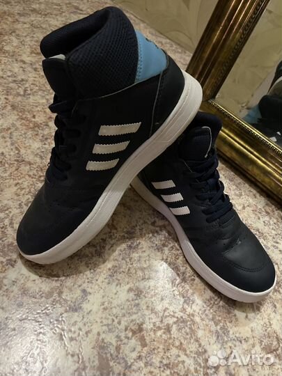 Кеды adidas