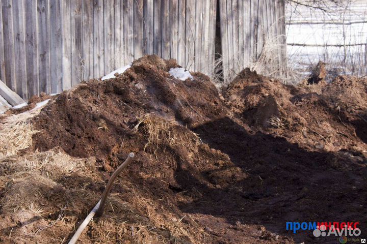 Перегной коровий