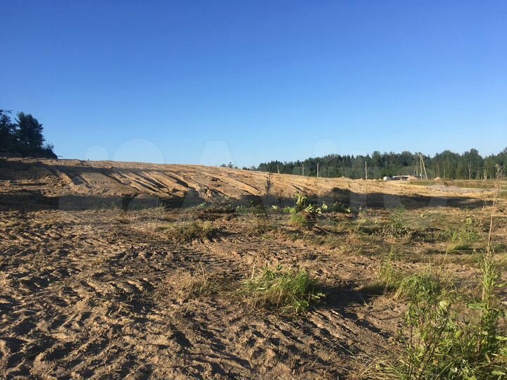 Участок 10 сот. (ИЖС)