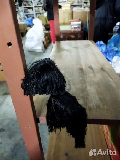 Собаки на верёвочке