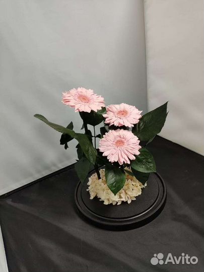 Гербера в колбе оптом и в розницу