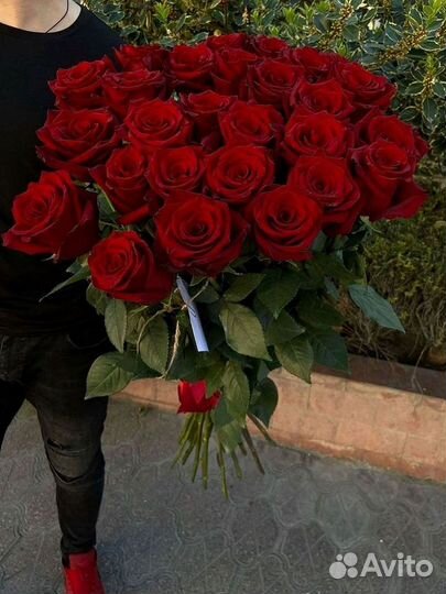 Высокие розы Гигантские розы 110